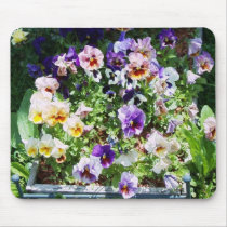 pansy bed mousepads