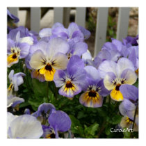 "Pansy Blues Fence" Art Poster posters