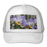 Pansy Blues Fence Hat