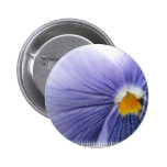 Pansy Button