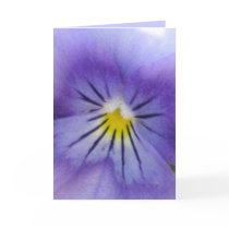 Pansy cards by ggbythebay Pansy cards