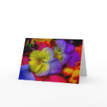 PANSY cards
