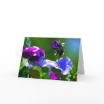 PANSY CARD-ANY OCCASION cards