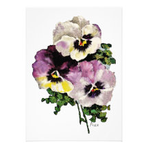 Pansy Custom Announcement