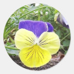 Pansy Face Sticker