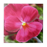 Pansy Faerie Tile