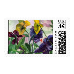 Pansy Field Postage Stamp