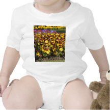 Pansy Flower Creeper