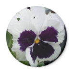 Pansy Flower Magnet