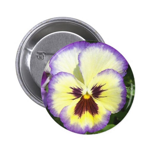 Pansy Flower Pictures Round Button