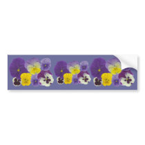 Pansy Flowers Bumper Sticker bumper stickers