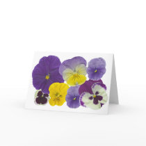 pansy flowers cards