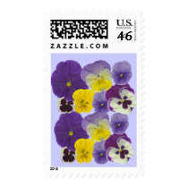 pansy flowers postage