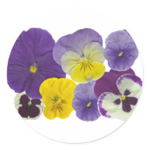 pansy flowers stickers