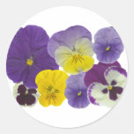 pansy flowers sticker