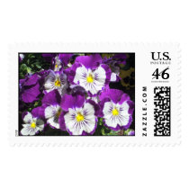Pansy Garden postage