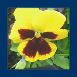 Pansy Gift Magnet
