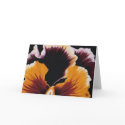 Pansy Greeting Card