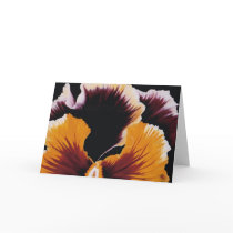 Pansy Greeting Card by cnag4892 Pansy Greeting Card