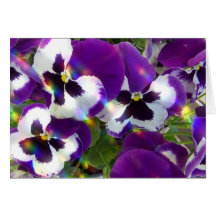 Pansy Greeting Card