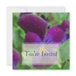 Pansy Invitations