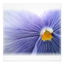 Pansy Invitations