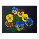 pansies, flowers, violas
