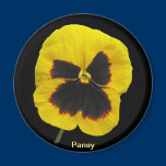Pansy Magnet