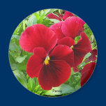 Pansy Magnet magnets