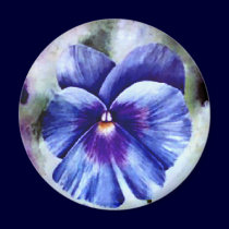 Pansy Magnet