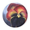 Pansy magnets