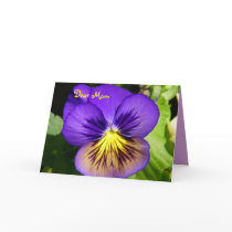 Pansy Mother's Day Card
