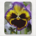 Pansy mousepad
