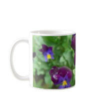 Pansy Mugs