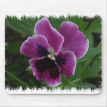 Pansy Pictures Mouse Pad
