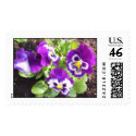 Pansy postage by JLWinther Pansy postage