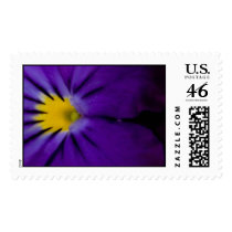 Pansy Postage postage by TDSwhite Pansy Postage postage