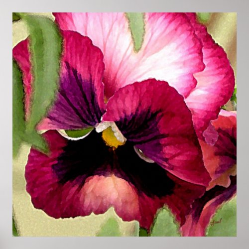 Pansy Poster print