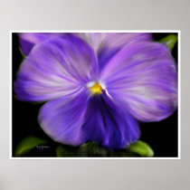 Pansy Poster