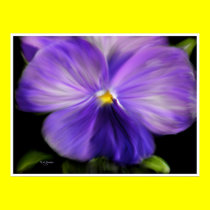 Pansy posters