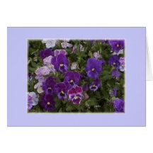pansy purple greeting card