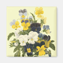 Pansy Violets Botanical Art magnets