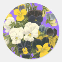 Pansy Violets Botanical Art Stickers stickers
