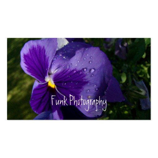 Pansy with Water Droplets Business Card Template (front side)