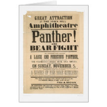 Panther and Bear Fight Advertisement (1293A) Cards