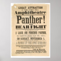 Panther and Bear Fight Advertisement (1293A) Posters