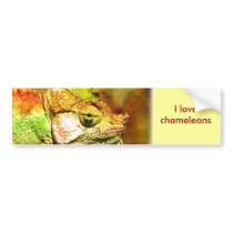 Panther chameleon Digital art bumper stickers