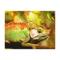 Panther chameleon Digital art Post Card