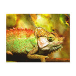 Panther chameleon Digital art Post Card