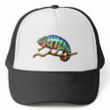Panther Chameleon Lizard hats by twopurringcats Panther Chameleon Lizard hats